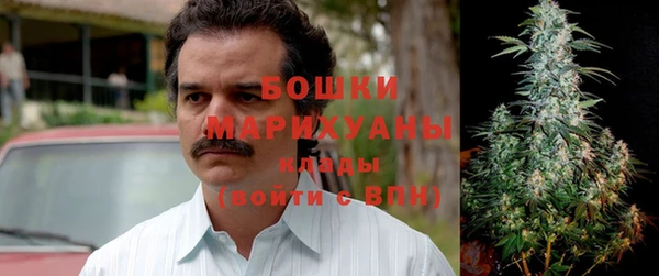 дмт Горняк