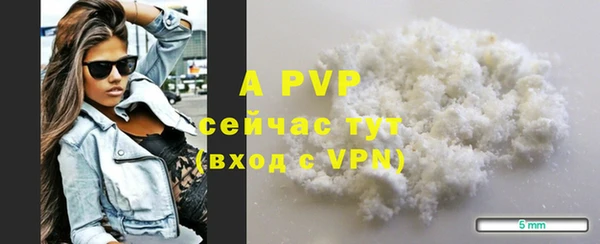 стаф Горнозаводск