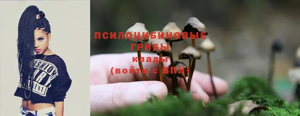 дмт Горняк