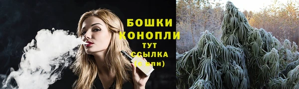 дмт Горняк